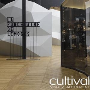 Musee National Adrien Dubouche