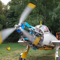 Les Ailes Limousines