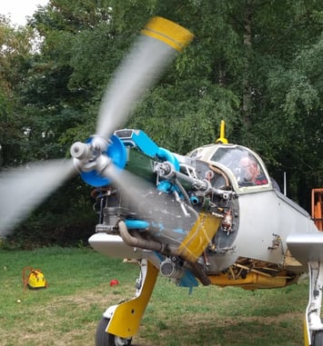 Les Ailes Limousines