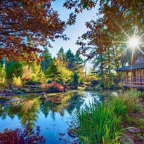 Visite commentée du jardin japonais Fukutsu-En