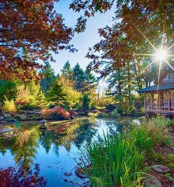 Visite commentée du jardin japonais Fukutsu-En