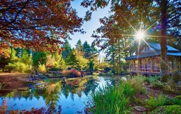 Visite commentée du jardin japonais Fukutsu-En