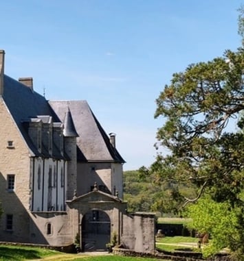 Visite guidée : "Quand les pierres racontent l'Histoire"