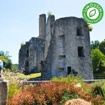 Visite-conférence du château des Cars