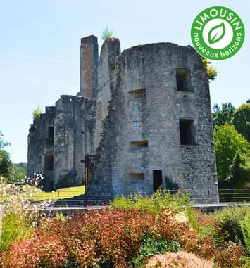 Visite-conférence du château des Cars