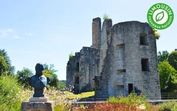 Visite-conférence du château des Cars
