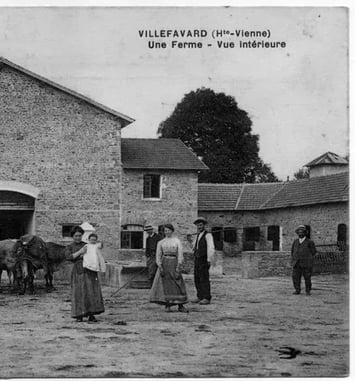 Visite commentée : paysage de mémoire, mémoire de paysage