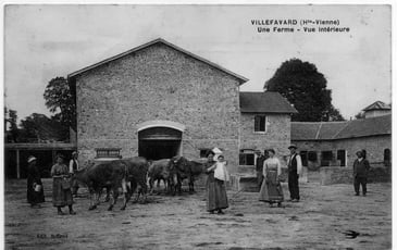 Visite commentée : paysage de mémoire, mémoire de paysage