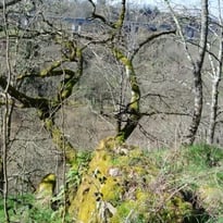 Visite conférence "La Villa d'Antone, son territoire, ses paysages, comprendre le site archéologique grâce à son environnement"
