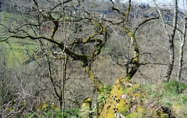 Visite conférence "La Villa d'Antone, son territoire, ses paysages, comprendre le site archéologique grâce à son environnement"