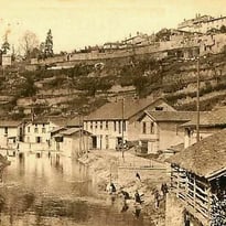 Conférence : jardins en péril