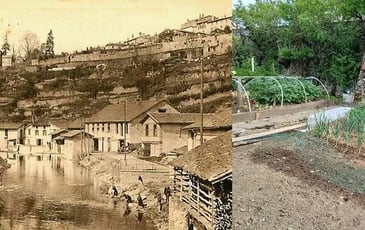 Jardins en péril
