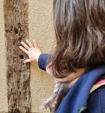 La ville haute éveille vos sens !, visite sensorielle