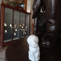 Le chien Porcelaine et son mini-musée