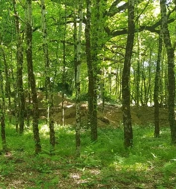 Une soirée à la Celle grandmontaine du Cluzeau à Meuzac