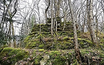 Conférence : le patrimoine, sa destruction, sa valeur, sa pérennisation