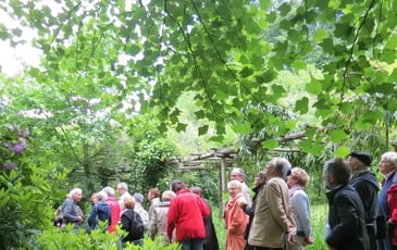 Visites libres du jardin des Vitailles