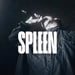 Spleen