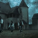 Les Bâtards du Roi