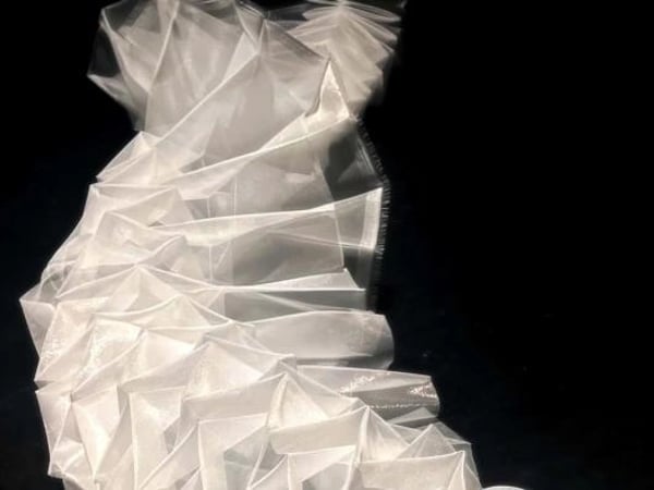 De l'Autre Coté du Miroir