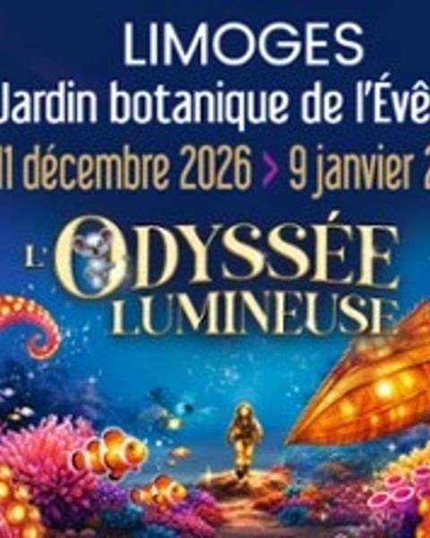 L'Odyssée Lumineuse, Billet Open