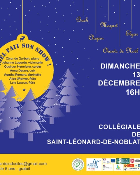 Noël fait son show !