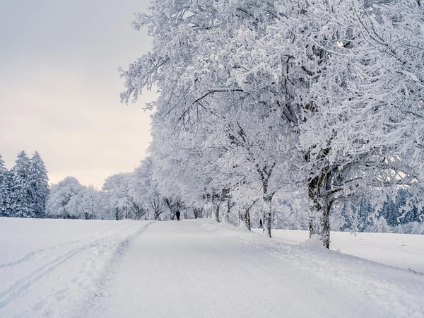 Winterreise : Voyage d'hiver de Schubert