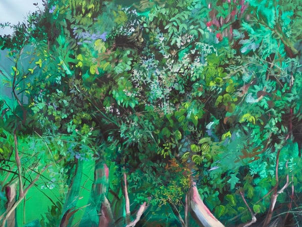 Exposition - Au creux de nos méandres - Alice Suret-Canale